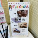 남현댕 애견미용 이미지