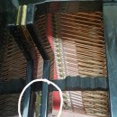 하성중학교 이미지