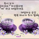 자매다육