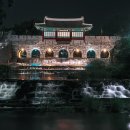 경기도 수원시 팔달구 수원천로392번길 Daum카페