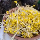 마산건어물마트 이미지