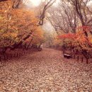 함양-3 중앙일보