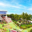 고성 해물순두부 이미지