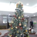 대구광역시시지노인전문병원 이미지