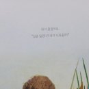마음주머니곰