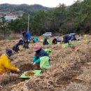 재단법인 전남바이오진흥원 이미지