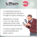 아이비젼안경원