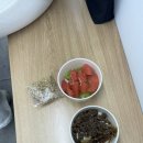 진주 가좌동 요거트아이스크림 | 요거피플 | 가좌동 요거피플 🍦🤍