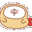 정든닭발화성