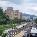 버스전용차로(4) 이미지