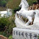 부채박물관 Daum카페