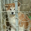 아카 - 해운대구 구남로41번길 35 | 아카