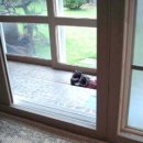 바우네 민박 이미지