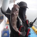 국제유선(해피호) 이미지