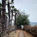 임항선그린웨이 이미지