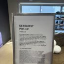 니어 포레스트 이미지