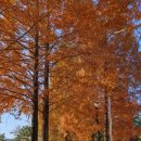 성호공원_조각공원주변 이미지