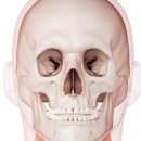 마인성형외과의원 이미지