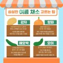 싱싱과일채소