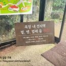 영목장 | 제주도(250919-250922)_3일차_아침미소목장