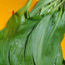 다온축산도소매센터 이미지