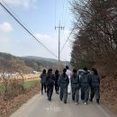 비봉진돗개 | 경기도 유기견 보호소 위치 및 신청방법