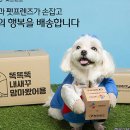 펫프렌즈 이미지