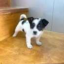 산우물어린이공원 이미지