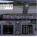 MIRINE님의 PMDG B737 이륙안되는 조치법 이미지