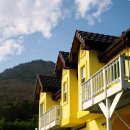 빈스하우스 이미지