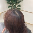 헤어퍼플 이미지