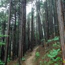 훼밀리주유소 이미지