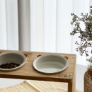 캣토피아 이미지