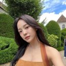 씨젤리피쉬 이미지