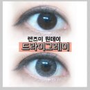 서현렌즈미 | 렌즈미 데일리 칵테일 드라이스카이그레이 :: 원데이 컬러렌즈로 꽤 괜찮음