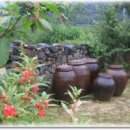봉숭아꽃물