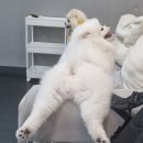 미사 마라섬 마라샹궈 후기