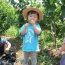 옥성농장 이미지