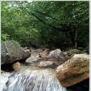 사기막리 이미지