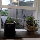 나미송머무는곳 민박 이미지