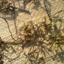 섭이네 농장 이미지