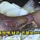 은코코 이미지