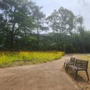 노곡 보건진료소 이미지