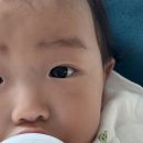 이루다팜 | 🩷2025년 8월🩷 연년생 육아 빡세게 하는 일주일