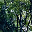 의료법인 신명진의료재단 퍼스트힐화성병원 이미지