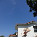 꺼비팜 | 태안 신진도 탐방! [몽산포 제빵소 들려 바로 신진도로 입성! 신진항 꽃게, 국립태안해양유물전시관...