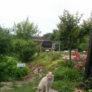 먼당농장 이미지