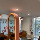 드봉펫살롱 | 제니스튜디오 창원상남점: 머리가 예뻐지는 곳, 여기 맞습니다! 💇‍♀️✨