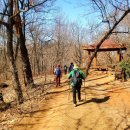 올레길 산림형 1코스 이미지