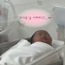 원복정 | 해운대 제일여성병원 산후조리원 2주 솔직후기